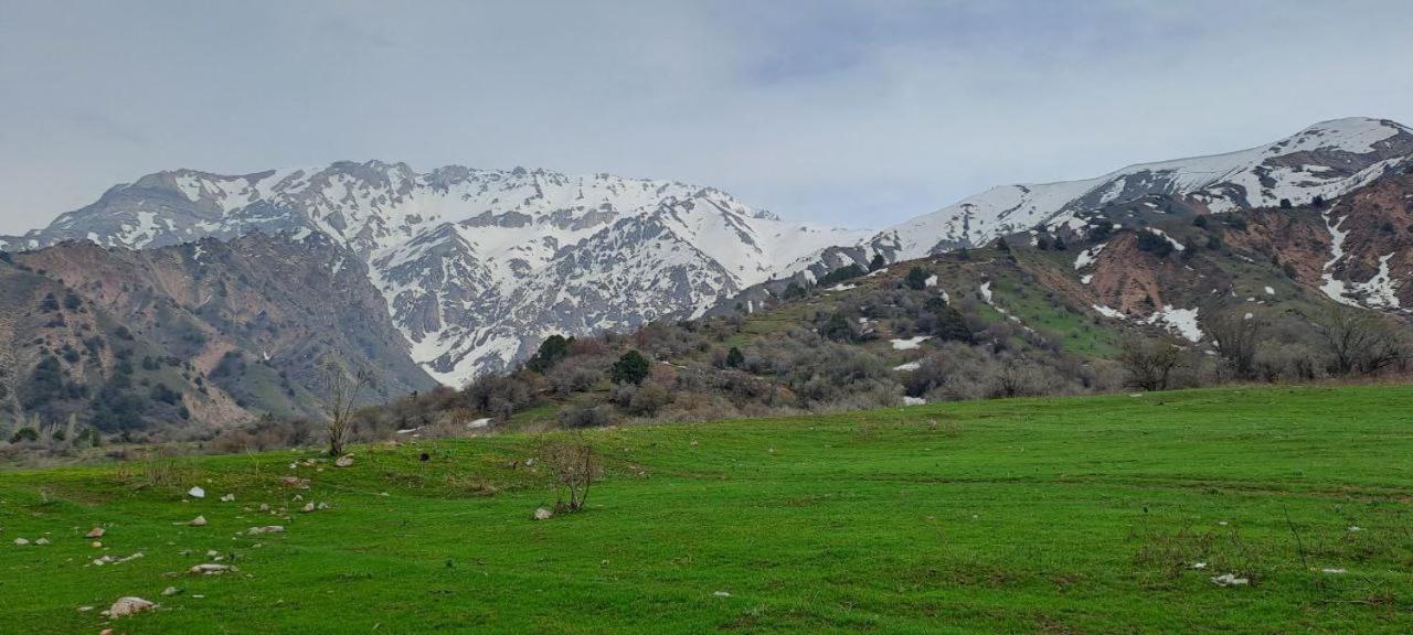 Cottage house Chimgan Dış mekan fotoğraf