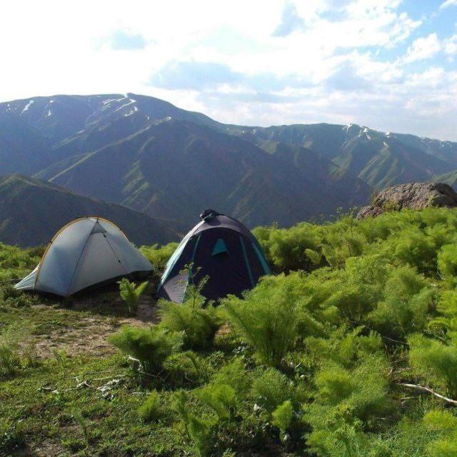 Cottage house Chimgan Dış mekan fotoğraf