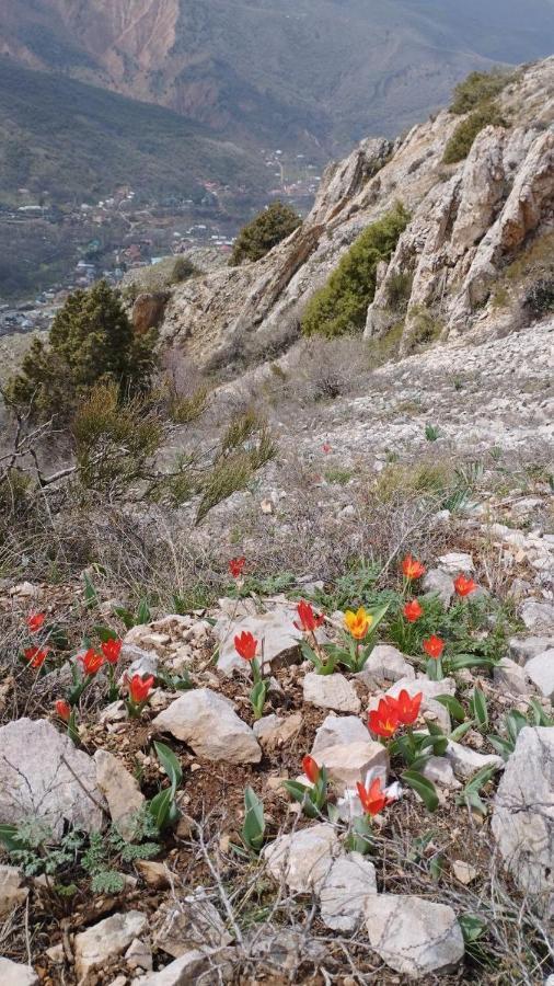 Cottage house Chimgan Dış mekan fotoğraf